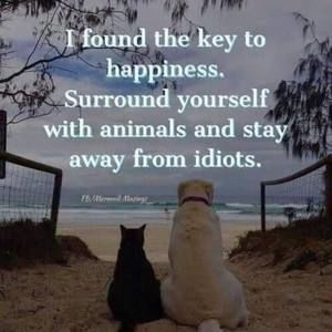 Meet your Posher, Cathy